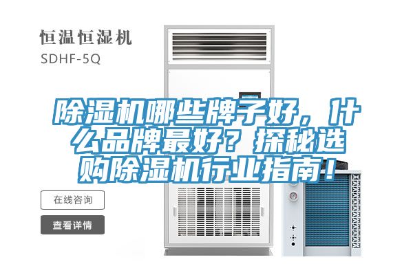 91看片软件大全哪些牌子好，什麽品牌最好？探秘選購91看片软件大全行業指南！