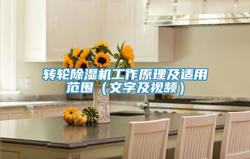 轉輪91看片软件大全工作原理及適用範圍（文字及視頻）
