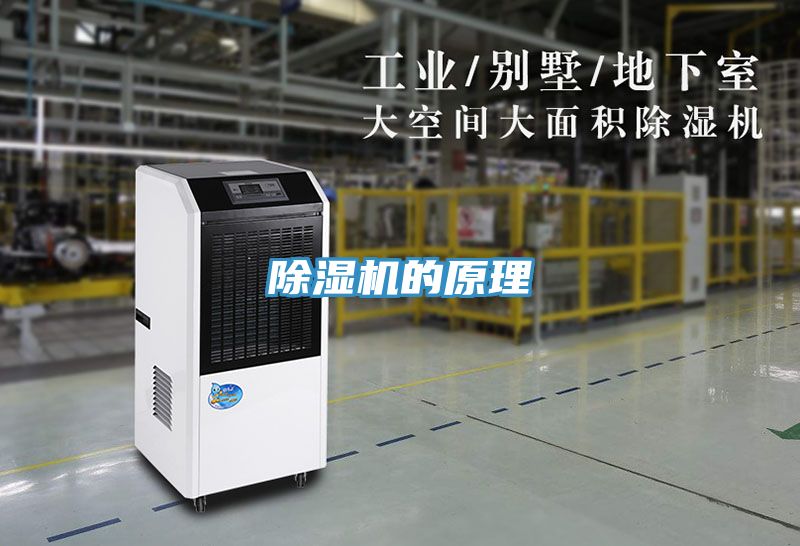 91看片软件大全的原理
