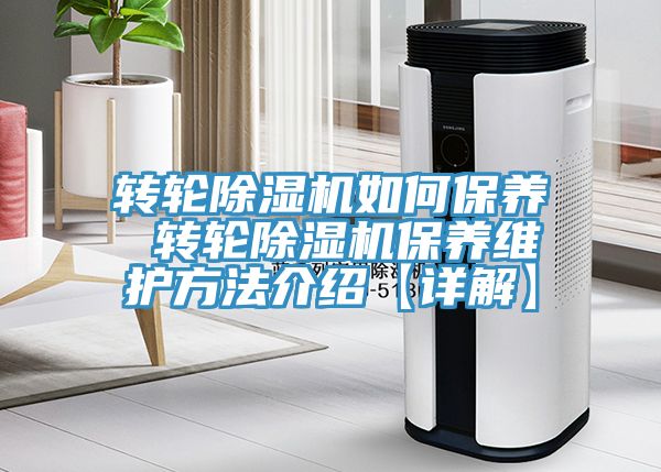 轉輪91看片软件大全如何保養 轉輪91看片软件大全保養維護方法介紹【詳解】