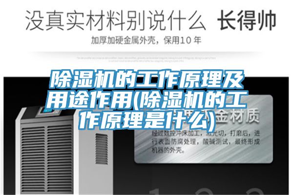91看片软件大全的工作原理及用途作用(91看片软件大全的工作原理是什麽)