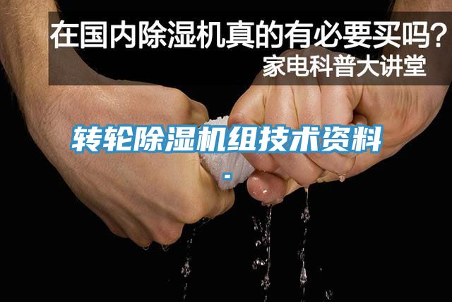 轉輪91看片软件大全組技術資料.