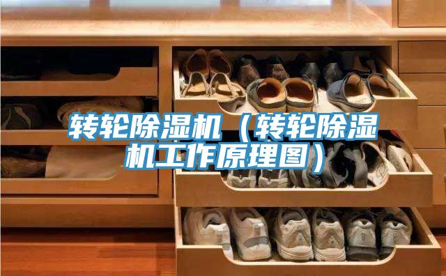 轉輪91看片软件大全（轉輪91看片软件大全工作原理圖）