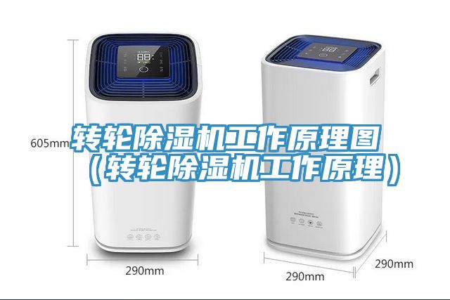 轉輪91看片软件大全工作原理圖（轉輪91看片软件大全工作原理）