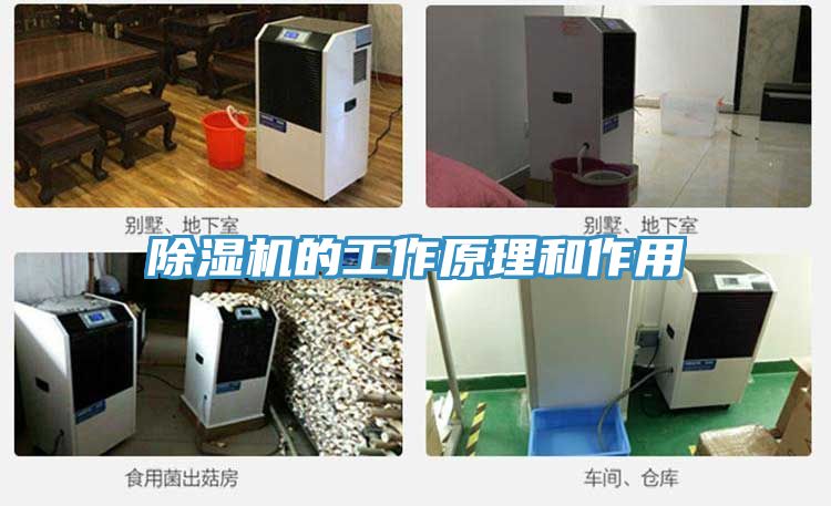 91看片软件大全的工作原理和作用