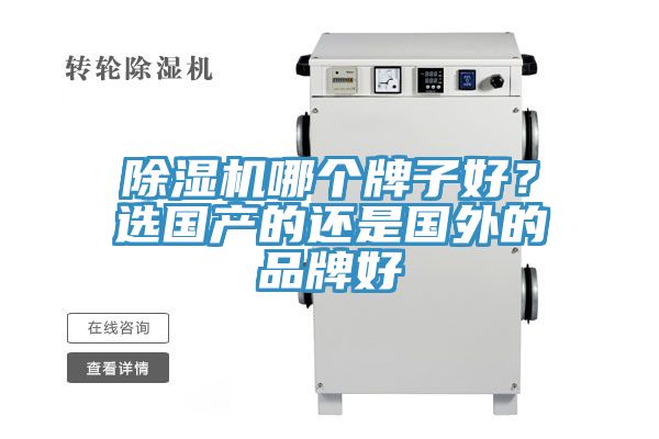 91看片软件大全哪個牌子好？選國產的還是國外的品牌好