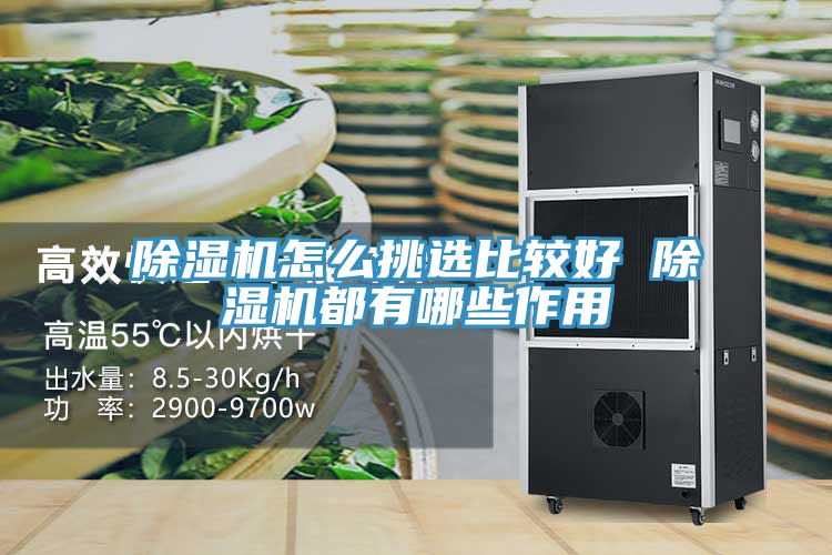 91看片软件大全怎麽挑選比較好 91看片软件大全都有哪些作用