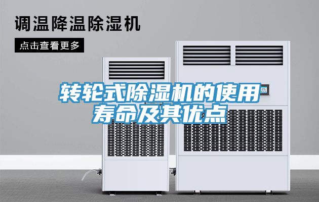 轉輪式91看片软件大全的使用壽命及其優點