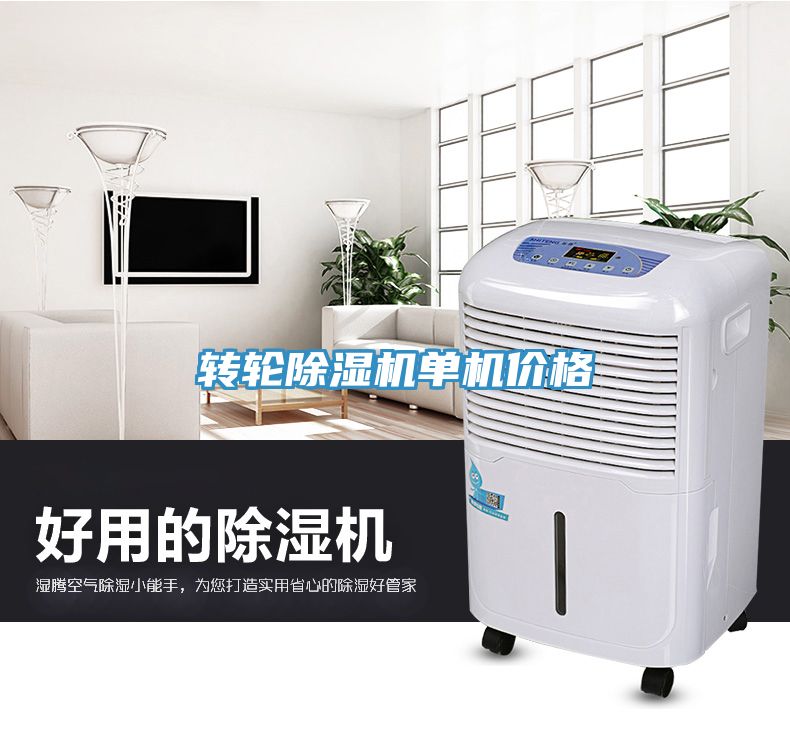 轉輪91看片软件大全單機價格