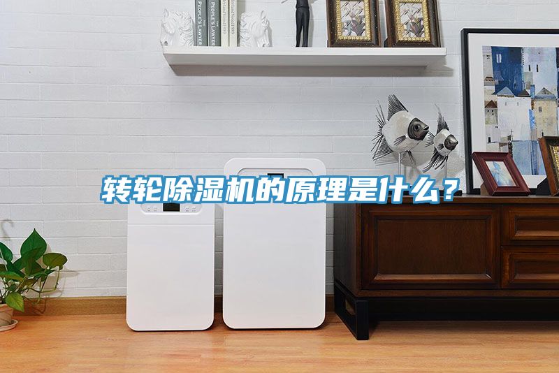 轉輪91看片软件大全的原理是什麽？