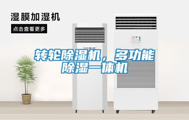 轉輪91看片软件大全，多功能除濕一體機