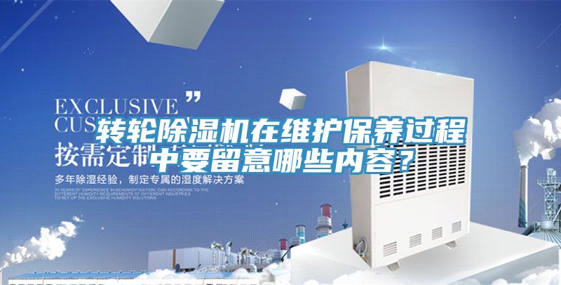 轉輪91看片软件大全在維護保養過程中要留意哪些內容？