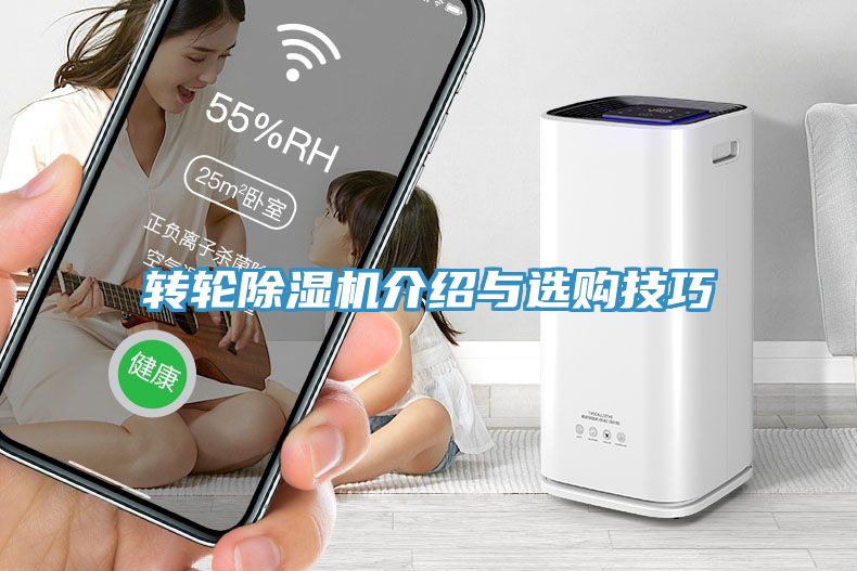 轉輪91看片软件大全介紹與選購技巧