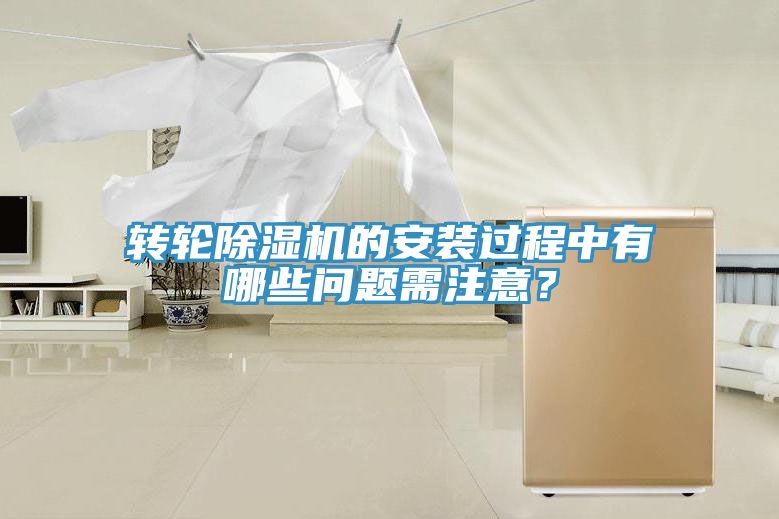 轉輪91看片软件大全的安裝過程中有哪些問題需注意？