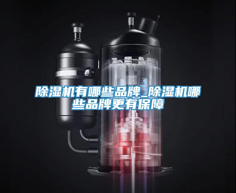 91看片软件大全有哪些品牌_91看片软件大全哪些品牌更有保障