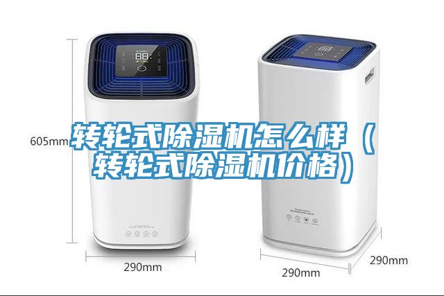 轉輪式91看片软件大全怎麽樣（轉輪式91看片软件大全價格）