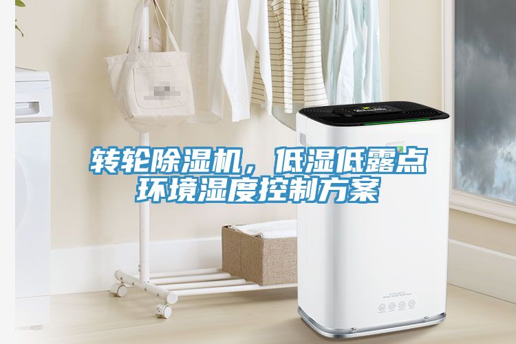 轉輪91看片软件大全，低濕低露點環境濕度控製方案