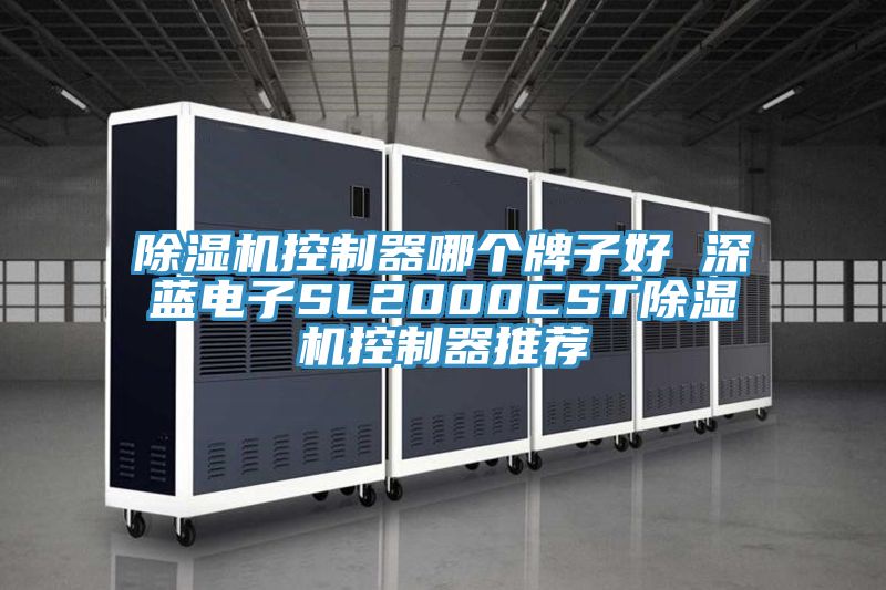 91看片软件大全控製器哪個牌子好 深藍電子SL2000CST91看片软件大全控製器推薦