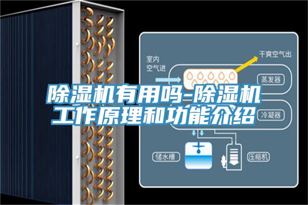 91看片软件大全有用嗎-91看片软件大全工作原理和功能介紹