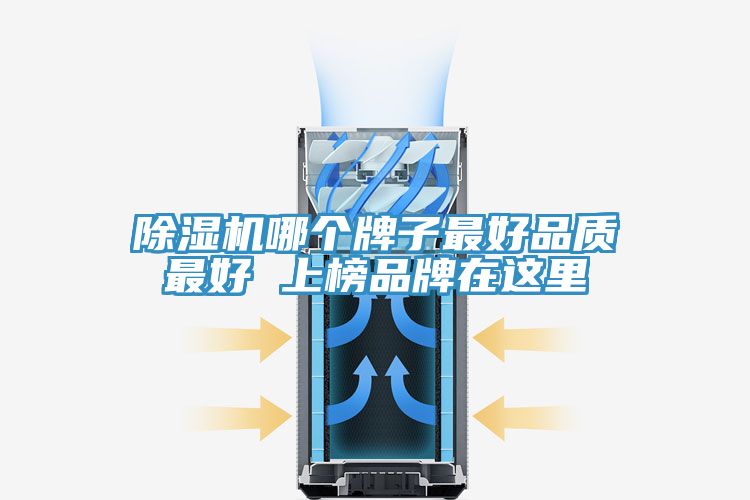 91看片软件大全哪個牌子最好品質最好 上榜品牌在這裏