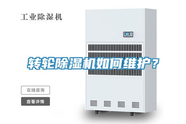 轉輪91看片软件大全如何維護？