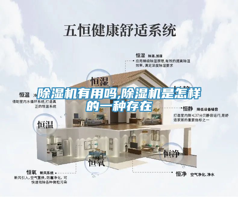 91看片软件大全有用嗎,91看片软件大全是怎樣的一種存在
