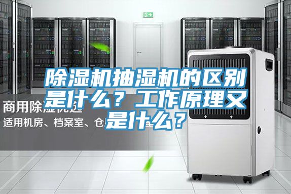 91看片软件大全抽濕機的區別是什麽？工作原理又是什麽？