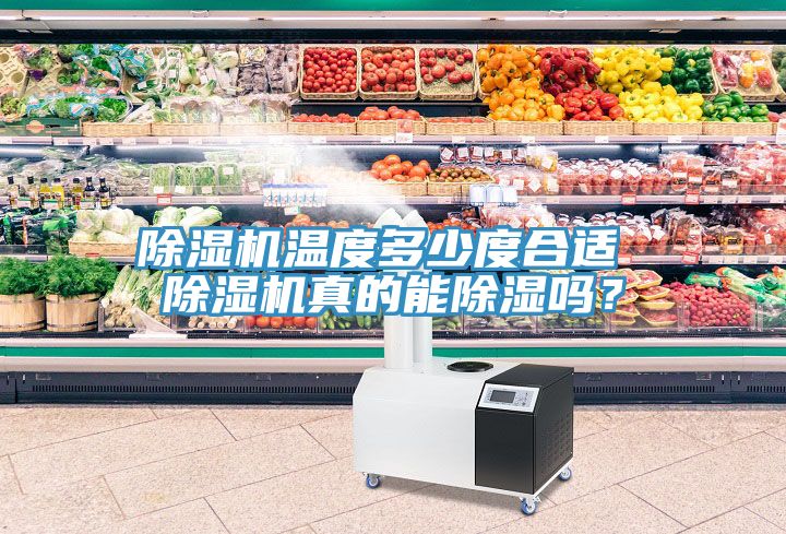 91看片软件大全溫度多少度合適 91看片软件大全真的能除濕嗎？