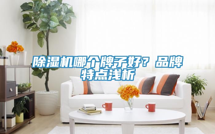 91看片软件大全哪個牌子好？品牌特點淺析