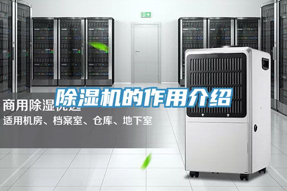 91看片软件大全的作用介紹