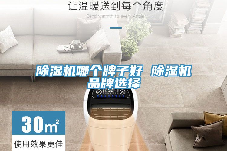 91看片软件大全哪個牌子好 91看片软件大全品牌選擇