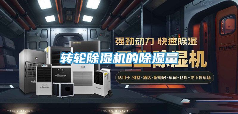 轉輪91看片软件大全的除濕量
