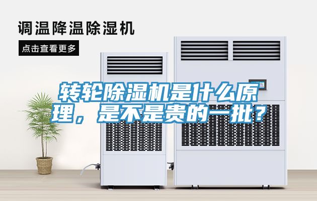 轉輪91看片软件大全是什麽原理，是不是貴的一批？