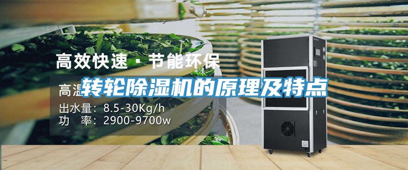 轉輪91看片软件大全的原理及特點