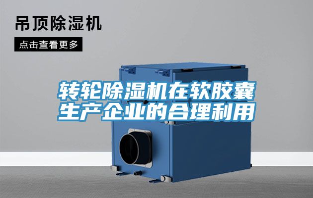 轉輪91看片软件大全在軟膠囊生產企業的合理利用