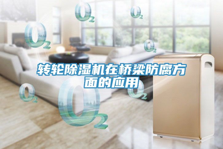 轉輪91看片软件大全在橋梁防腐方麵的應用