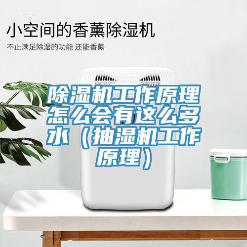 91看片软件大全工作原理怎麽會有這麽多水（抽濕機工作原理）