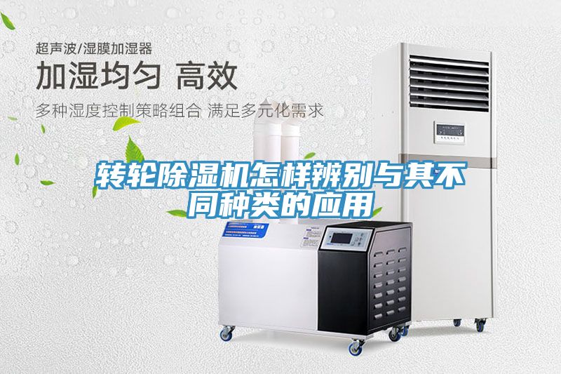 轉輪91看片软件大全怎樣辨別與其不同種類的應用