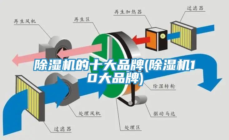 91看片软件大全的十大品牌(91看片软件大全10大品牌)