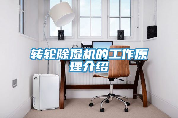 轉輪91看片软件大全的工作原理介紹