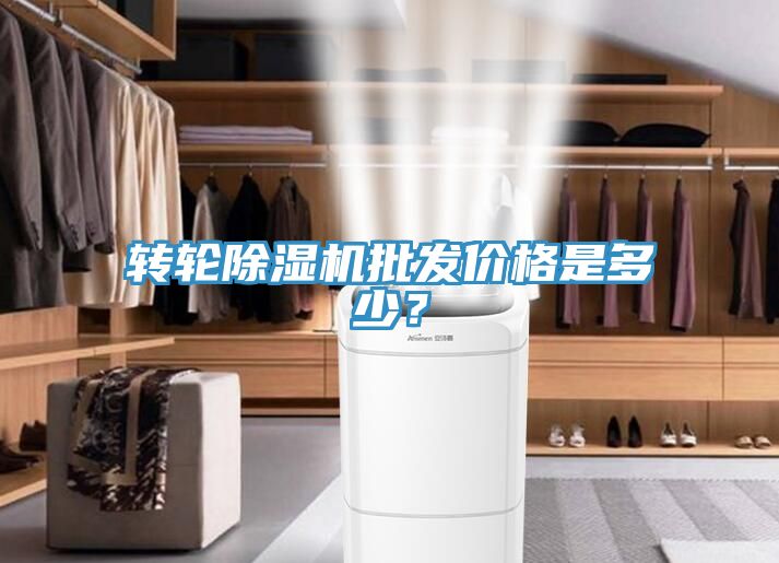 轉輪91看片软件大全批發價格是多少？