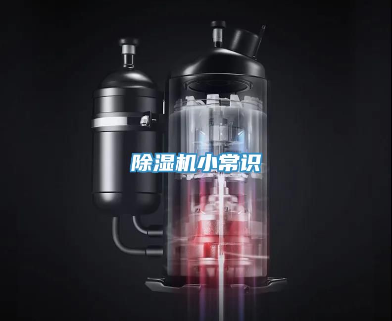 91看片软件大全小常識