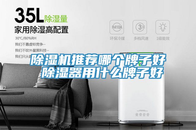 91看片软件大全推薦哪個牌子好 除濕器用什麽牌子好