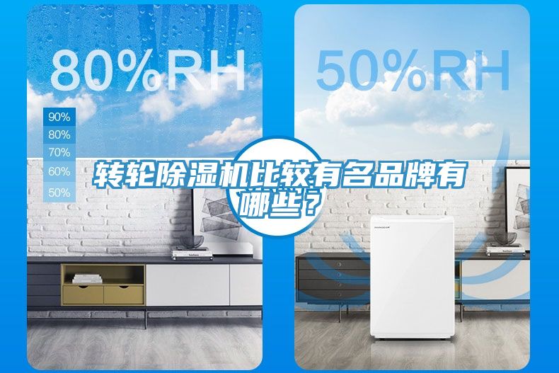 轉輪91看片软件大全比較有名品牌有哪些？