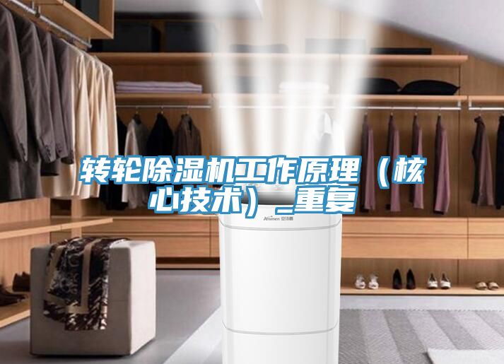 轉輪91看片软件大全工作原理（核心技術）_重複