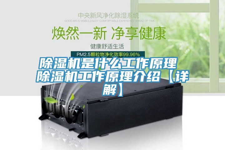 91看片软件大全是什麽工作原理 91看片软件大全工作原理介紹【詳解】