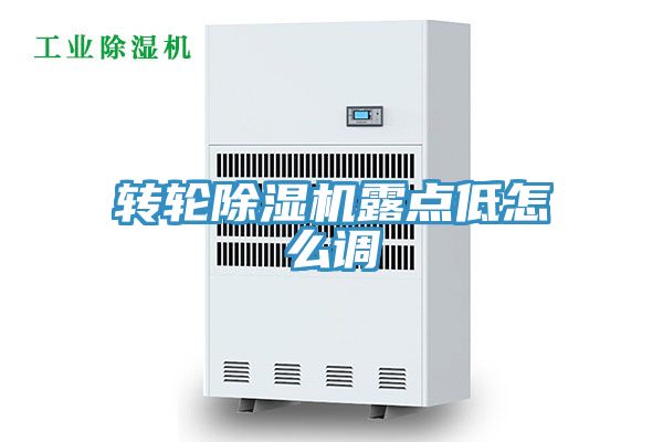 轉輪91看片软件大全露點低怎麽調