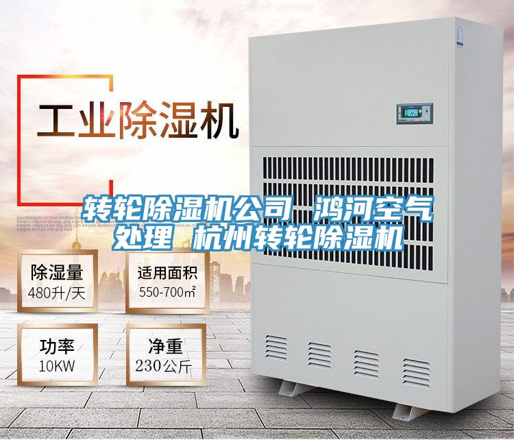 轉輪91看片软件大全公司 鴻河空氣處理 杭州轉輪91看片软件大全