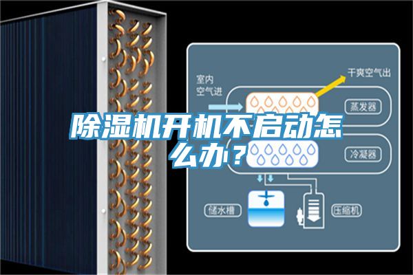 91看片软件大全開機不啟動怎麽辦？