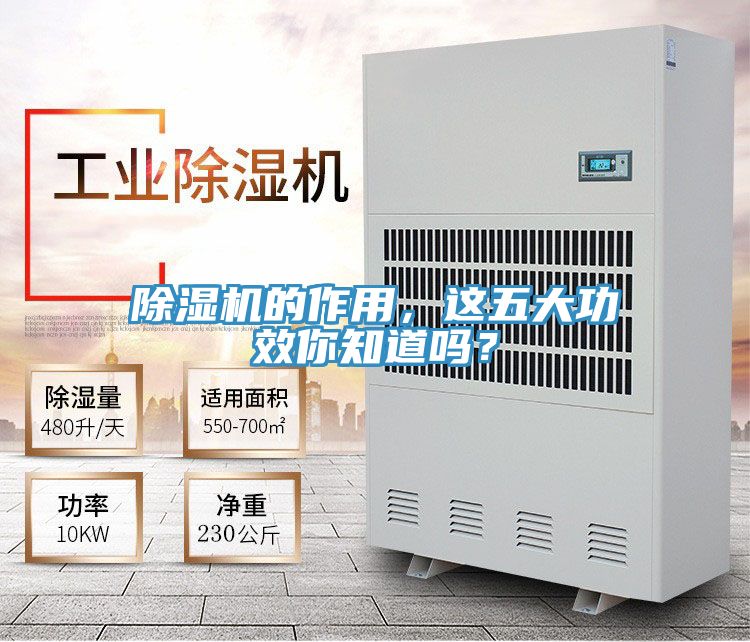 91看片软件大全的作用，這五大功效你知道嗎？